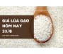 Giá lúa gạo hôm nay 23/8