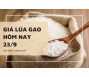 Giá lúa gạo hôm nay 23/9
