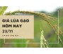 Giá lúa gạo hôm nay 23/11