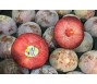 Mận đỏ Mỹ giá nửa triệu đồng một kg