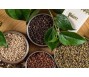 Bộ Công Thương: Giá tiêu toàn cầu có thể sẽ còn duy trì ở mức cao