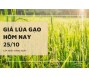 Giá lúa gạo hôm nay 25/10