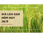 Giá lúa gạo hôm nay 26/9
