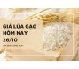 Giá lúa gạo hôm nay 26/10