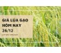 Giá lúa gạo hôm nay 26/12