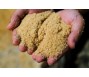 Giá đường chạm mức thấp nhất kể từ tháng 9 vì lo ngại nguồn cung tăng
