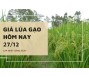 Giá lúa gạo hôm nay 27/12
