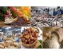 Bản tin thị trường nông, lâm, thủy sản số ra ngày 21/12/2023