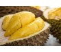Sầu riêng vào giai đoạn cuối vụ, kim ngạch xuất khẩu tháng 11 giảm gần 75%