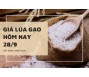 Giá lúa gạo hôm nay 28/9