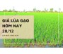 Giá lúa gạo hôm nay 28/12