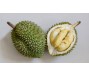 Sầu riêng Trung Quốc vào vụ thu hoạch, giá hơn 16 USD/kg