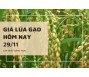 Giá lúa gạo hôm nay 29/11