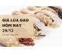 Giá lúa gạo hôm nay 29
