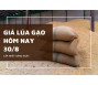 Giá lúa gạo hôm nay 30/8