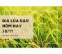 Giá lúa gạo hôm nay 30/11