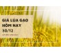 Giá lúa gạo hôm nay 30/12