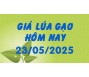 Giá lúa gạo hôm nay 23/5/25