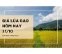 Giá lúa gạo hôm nay 31/10
