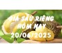 Giá sầu riêng hôm nay 20/6/25