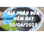Giá phân bón ngày 20/6/25