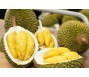 Xuất khẩu sầu riêng sang Trung Quốc tăng mạnh