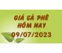 Giá cà phê hôm nay 9/7
