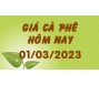 Giá cà phê hôm nay 1/3