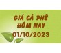 Giá cà phê hôm nay 1/10