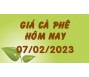 Giá cà phê hôm nay 7/2