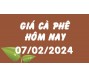 Giá cà phê hôm nay 7/2