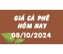 Giá cà phê hôm nay 8/10