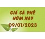 Giá cà phê hôm nay 9/1