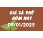 Giá cà phê hôm nay 9/1/25