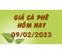 Giá cà phê hôm nay 9/2