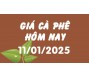Giá cà phê hôm nay 11/1/25