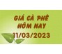Giá cà phê hôm nay 11/3