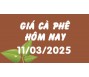 Giá cà phê hôm nay 11/3/25