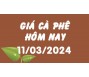 Giá cà phê hôm nay 11/3