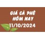 Giá cà phê hôm nay 11/10