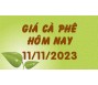 Giá cà phê hôm nay 11/11