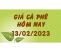 Giá cà phê hôm nay 13/2
