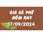 Giá cà phê hôm nay 17/9
