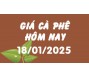 Giá cà phê hôm nay 18/1/25