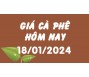 Giá cà phê hôm nay 18/1