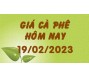 Giá cà phê hôm nay 19/2