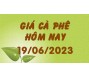 Giá cà phê hôm nay 19/6