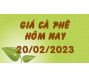 Giá cà phê hôm nay 20/2