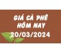 Giá cà phê hôm nay 20/3