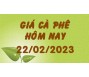Giá cà phê hôm nay 22/2